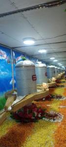 IMG-20240311-WA0002